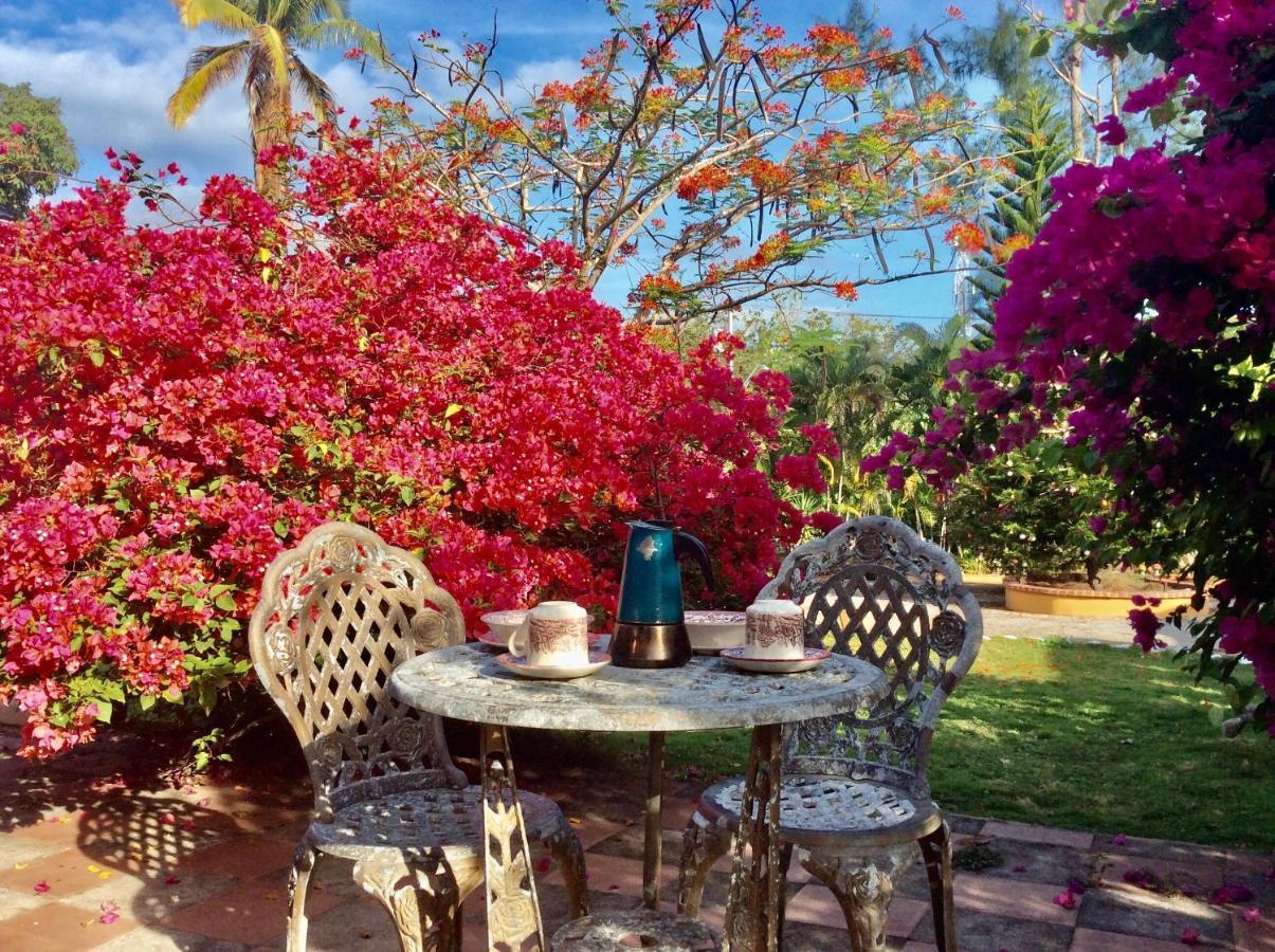 Cafegourmetptacorona San Carlos Esterno foto
